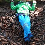 Waldkindergruppe